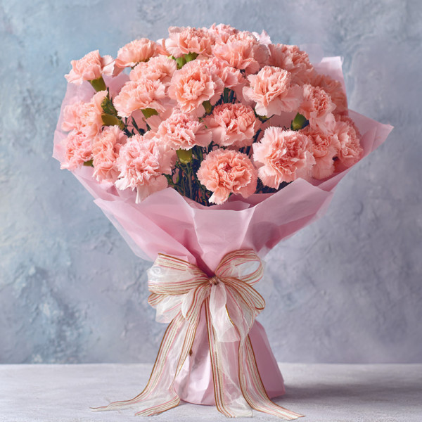 Silent Reverence — Carnation Affection Touched by Gentle Time