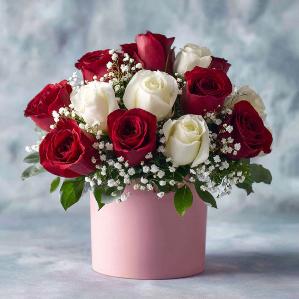 Flaming Snow Kiss — The Ballad of Red & White Roses​